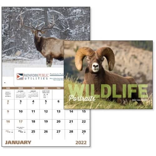 Window Wildlife Portraits 2023 Appointment Calendar | EverythingBranded