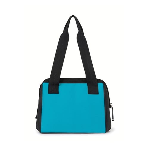 Igloo leftover discount lunch tote