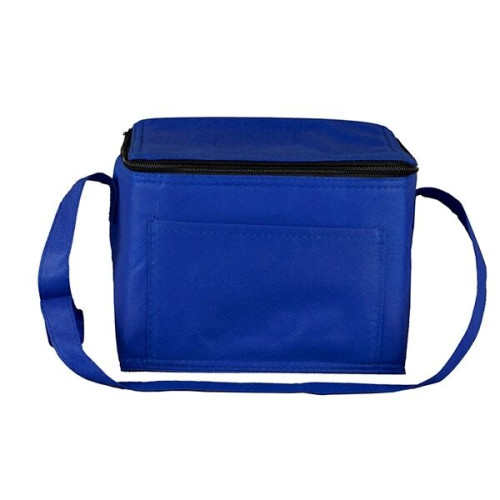 Blue store cooler bag